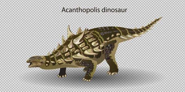 Dinosaurus realistis Acanthopolis. Ilustrasi vektor dari ankylosaurus dinosaurus prasejarah terisolasi pada latar belakang putih. Tampilan samping, profil. - Stok Vektor