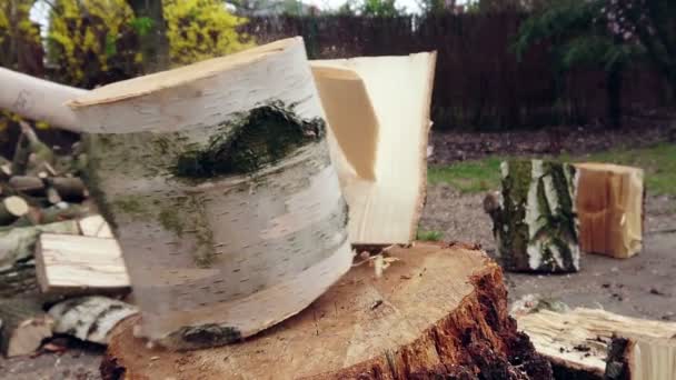 Chopping Wood Slow Motion Worker Splits Block Trees Axe Tool — Stock Video