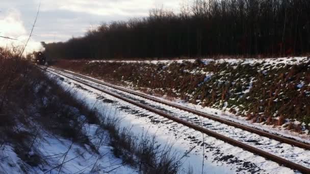 Locomotiva Vapore Epoca Con Vecchi Carri Sentiero Innevato Trasporto Passeggeri — Video Stock