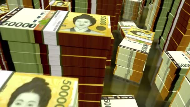 South Korea Won Money Notes Packs Loop Flight Krw Banknotes — Stock Video