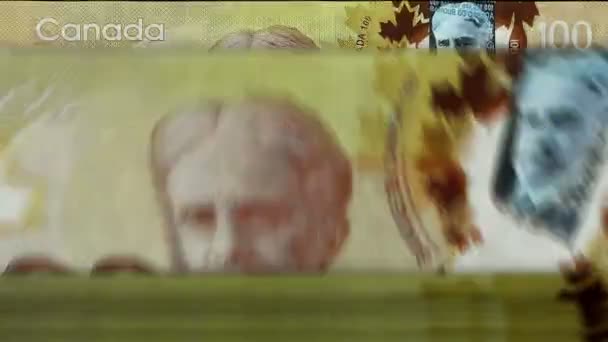 Kanadensisk Dollarräknare Med Sedlar Snabb Cad Anteckning Ner Rotation Affärs — Stockvideo