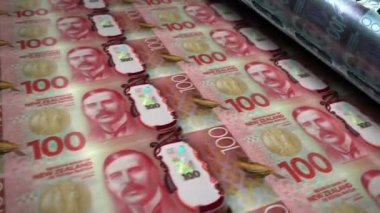 Yeni Zelanda Doları paketi 3D animasyon döngüsü. Döngüsüz finans, nakit, ekonomi, iş ve banka kavramı. Kamera 100 NZD banknot destesi üzerinde hareket ediyor.
