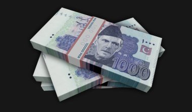 Pakistanlı Rupi para paketi 3D resim. PKR banknot desteleri. Maliye, nakit, ekonomi krizi, iş başarısı, durgunluk, banka, vergi ve borç kavramı.