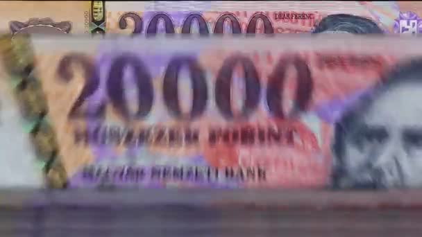 ハンガリー銀行券でお金を数えるマシンを要塞 クイックHufは回転をメモします ビジネスと経済の概念はループ可能でシームレスな背景 ハンガリー通貨 — ストック動画