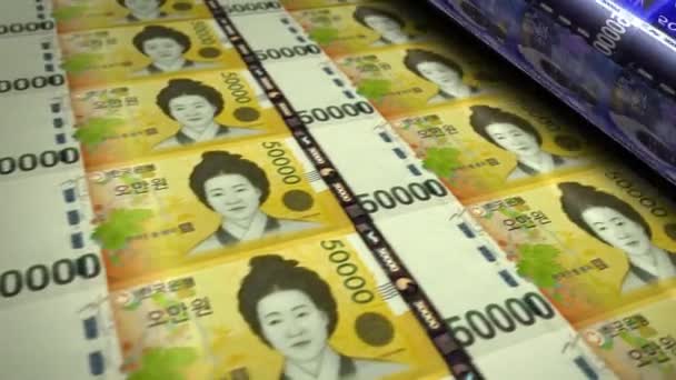 South Korea Won Money Banknotes Printing Roll Machine Paper Krw — Stock Video