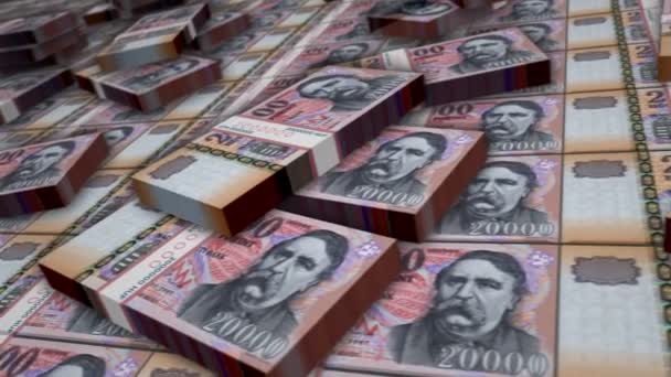 Macar Forint Banknot Döngüsü Huf Para Yığınları Macaristan Ekonomi Bankacılık — Stok video