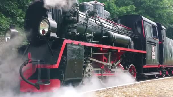 Alte Lokomotiven Bewegen Sich Auf Schienen Dampfmaschinenstart Schmalspurbahn Retro Reisen — Stockvideo