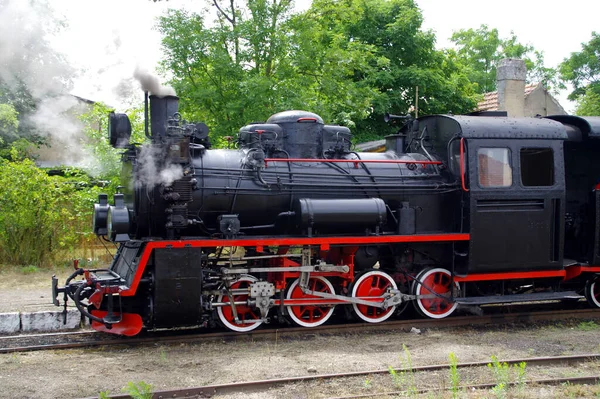 Velha Locomotiva Vapor Move Trilha Viagens Retrô Ferroviárias Bitola Estreita — Fotografia de Stock