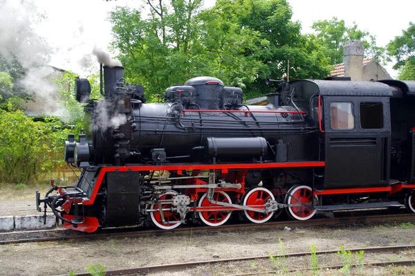 Vecchia Locomotiva Vapore Muove Sentiero Viaggio Retrò Ferroviario Scartamento Ridotto — Foto Stock