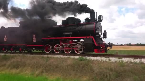 老式燃煤蒸汽机车 尾迹烟雾弥漫 复古运输和旅行 铁路上的历史性火车 — 图库视频影像