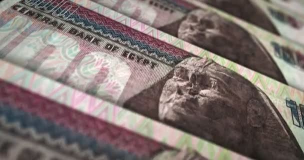 Єгипетська Петля Банкнот Egp Грошова Текстура Концепція Економіки Бізнесу Кризи — стокове відео