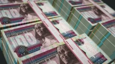 Mısır Pound para paketi 3D animasyon döngüsü. Döngüsüz finans, nakit, ekonomi, iş ve banka kavramı Mısır 'da. EGP banknot desteleri üzerinde hareket eden kamera.
