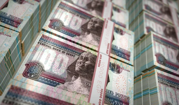 Egyptian Pound Money Pack Illustration Egp Banknote Bundle Stacks Концепція — стокове фото