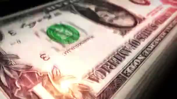 Dinheiro Dólar Contar Notas Dólar Moeda Rápida Contagem Notas Macro — Vídeo de Stock
