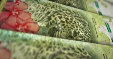 Argentina Peso banknote loop. ARS money texture. Concept of economy, business, crisis, banking, recession, debt and finance. Moving over note. Loopable seamless 3d animation.