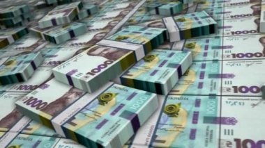 Ukrayna Hryvnia banknot döngüsü. 1000 UAH para yığını. Ukrayna 'da iş, ekonomi, bankacılık ve finans kavramı. Para paketlerinin üzerinde kamera var. Döngüsüz 3D canlandırma.