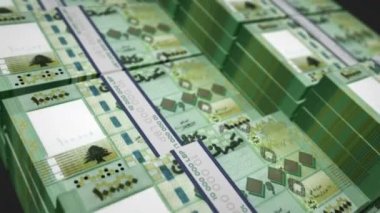 Lübnan para paketi 3D animasyon döngüsü. Döngüsüz finans, nakit, ekonomi, iş ve banka kavramı. LBP banknot desteleri üzerinde hareket eden kamera.