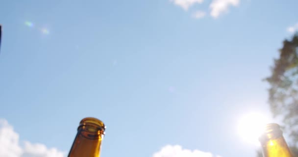お祝いのビールの歓声のコンセプトは、手を屋外パーティーの休暇で人々のグループのビールのボトルを保持。閉めろ。スローモーション — ストック動画