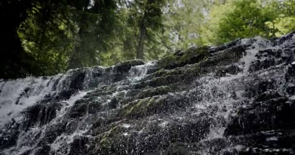 Wspaniałe powolne ustalanie strzał rzeki z wodospadem w lesie w lecie. Zwolniony ruch V5 — Wideo stockowe