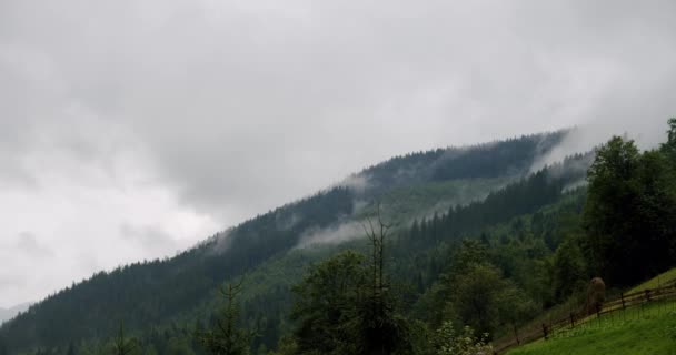 Karpatiska berg Moln flyter över bergen i sommar regnigt väder. Tidsfrist — Stockvideo