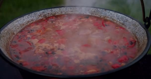 Gran cucharada de sopa de champiñones que se cocina en un caldero grande en una fogata abierta. Cámara lenta V8 — Vídeo de stock