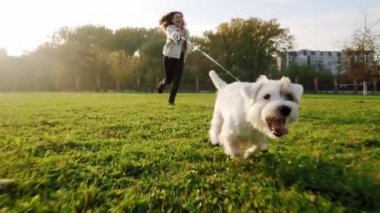 Jack Russell Terrier köpeği mutlu bir şekilde bir kıza doğru koşuyor. Doğa parkında çimenler, yavaş çekim V3.