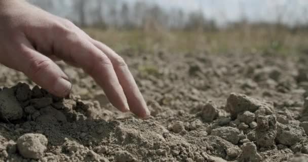 Уборка картофеля, изменение климата на суше, экологическая катастрофа и трещины в почве, деградация сельскохозяйственной проблемы. Закрыть V2 — стоковое видео