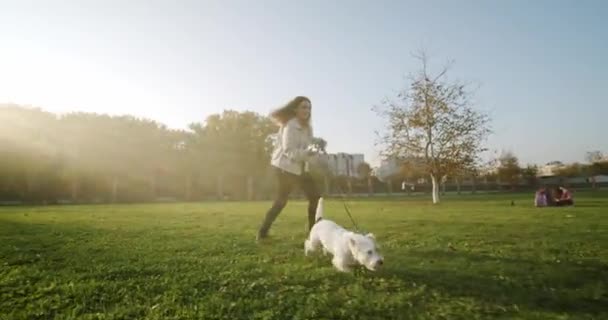 スローモーション。ジャック・ラッセル・テリア犬は自然公園の芝生の上で女の子と幸せに走ります,晴れた日, — ストック動画