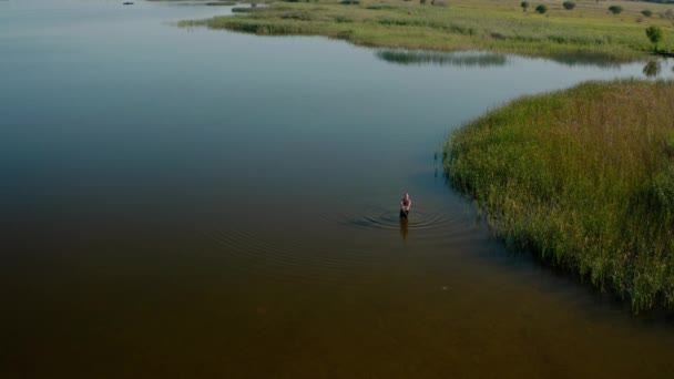 Drohnen aus der Luft. Ein Mann steht im See und angelt — Stockvideo