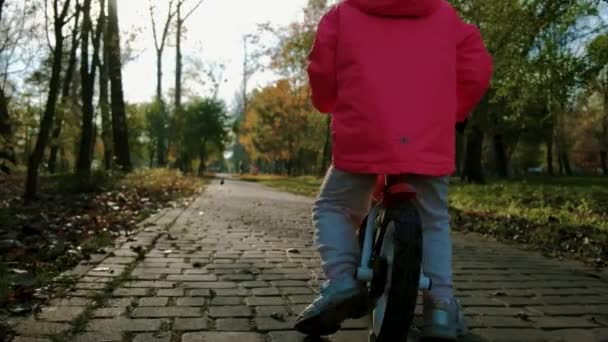 Barnet åker snabbt en cykeltur genom höstparken. Långsamma rörelser — Stockvideo