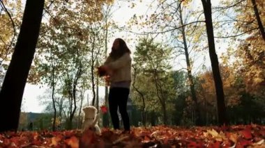 Sonbahar ağır çekim Jack Russell Terrier köpeği, mutlu kız portakal yapraklarını fırlatıyor, köpek yaprakları yakalıyor doğa parkında,