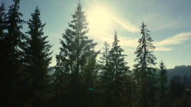 Hava aracı dağdaki ağaçların arasından uçuyor..