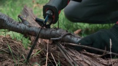 Yakın plan. Elektrikli testereyle kuru bir dalın bahçesinde çalışıyorum..