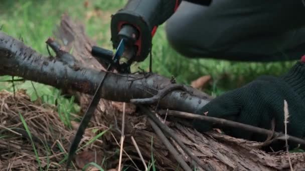 Vista de cerca Trabajar en el huerto de una rama seca con una sierra eléctrica. — Vídeos de Stock