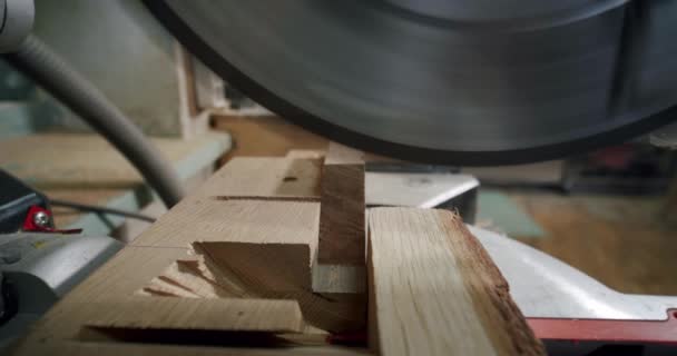 Близько. Майстер вирізає дерев'яну дошку з круглою пилкою в деревообробній майстерні невеликого виробника меблів. Повільний рух — стокове відео
