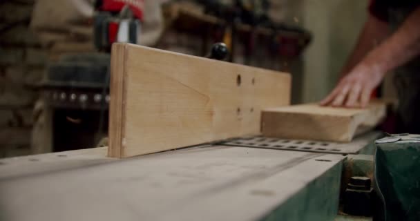木工工場の労働者は板を取り、小さな家具メーカーの木工工場の機械に置きます。V2 — ストック動画