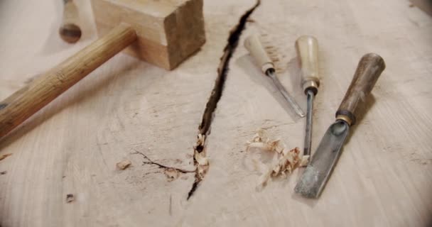 Herramientas para tallar madera de virutas de madera, Juego de herramientas y equipos para trabajar la madera. — Vídeo de stock