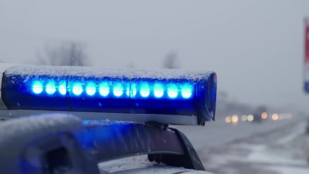 Luces azules de un coche de policía brillan contra la nieve por la noche. Primer plano. — Vídeos de Stock