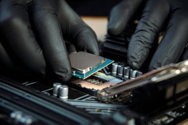 El ele tutuşan mühendis. Siyah eldiven işlemci işlemcisi. Bilgisayar ya da laptop V5 'in prizine yerleştirmek için.