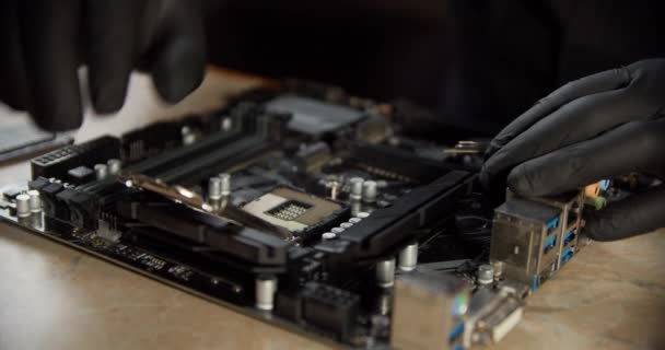 Engenheiro reparador de mãos dadas em luvas pretas processador de chip CPU para inserir na tomada do computador ou laptop — Vídeo de Stock