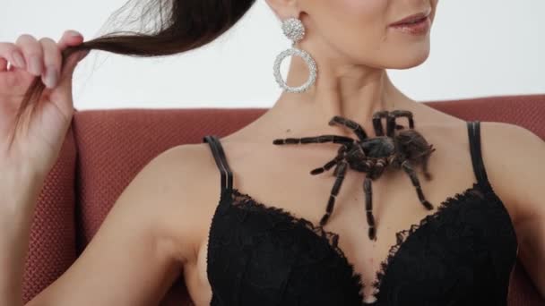 Bir kadının göğsünde büyük siyah bir örümcek. Kapat. — Stok video