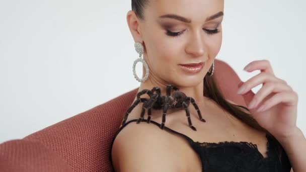 Grote zwarte spin op een vrouwenborst. Close-up zicht — Stockvideo