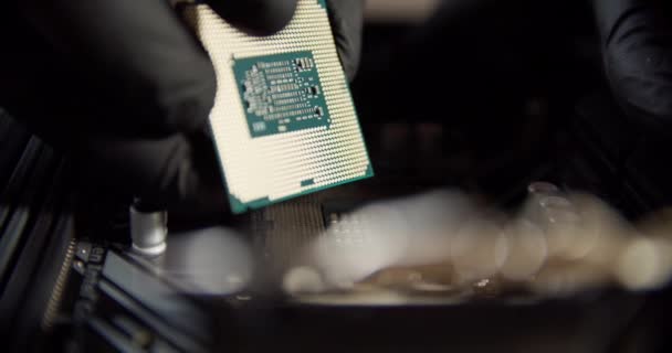 Um tiro de perto. Engenheiro reparador de mãos dadas em luvas pretas processador de chip CPU para inserir na tomada do computador ou laptop. — Vídeo de Stock
