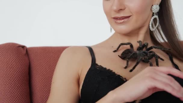 Μεγάλη μαύρη αράχνη σε γυναικείο στήθος. Κλείσιμο προβολής — Αρχείο Βίντεο