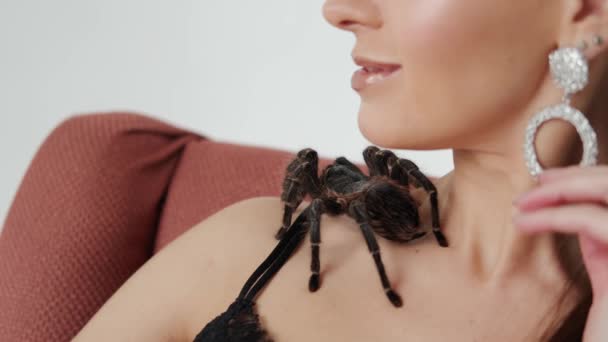 Big black spider on a womans shoulders. Close up view — Stock Video