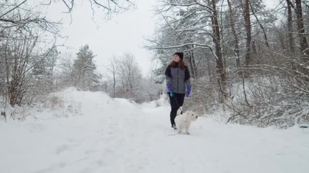 Giovane bella ragazza caucasica e cane in esecuzione insieme nel giorno nevoso. Nella foresta. Rallentatore — Video Stock