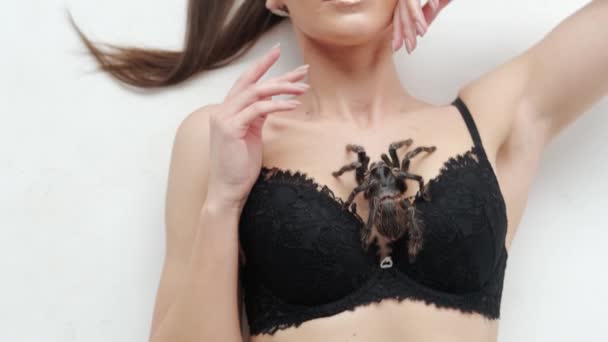 Detail pohledSexy dívka s velkým černým pavoukem leží na bílém pozadí. — Stock video