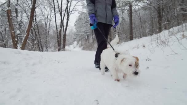 Un colpo ravvicinato. Giovane bella ragazza caucasica e cane in esecuzione insieme nel giorno nevoso. Nella foresta. Rallentatore — Video Stock