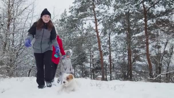 犬ジャック・ラッセル・テリアとの幸せな家族の遊び雪の日に森の中で。ハッピーファミリースローモーションショット — ストック動画