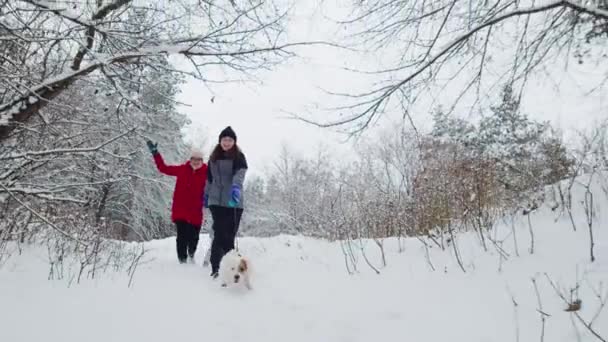 Scatto al rallentatore di Happy family giocare con il cane Jack Russell terrier In Snowy Day In Forest. Famiglia felice — Video Stock